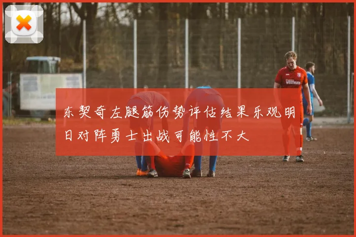 东契奇左腿筋伤势评估结果乐观明日对阵勇士出战可能性不大