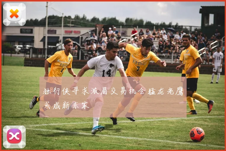 独行侠寻求浓眉交易机会猛龙老鹰或成新东家