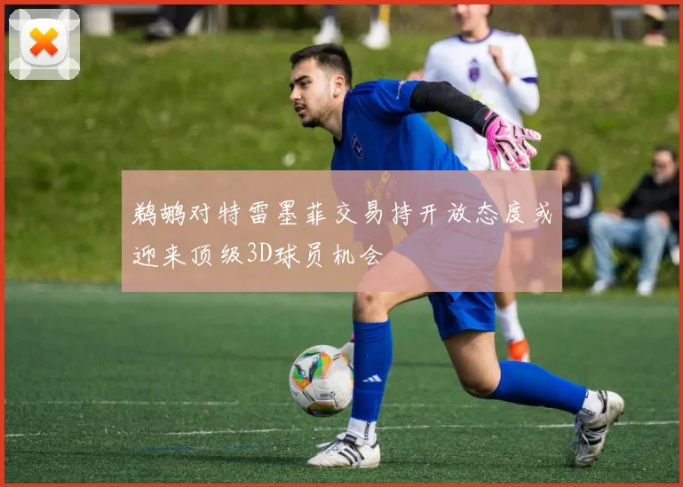 鹈鹕对特雷墨菲交易持开放态度或迎来顶级3D球员机会